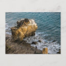 Search for matador Malibu