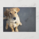 Search for looking up postcards Outdoors