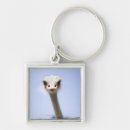 Search for ostrich key rings Wildlife
