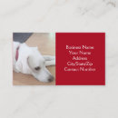 Search for collar business cards Dog walker