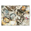 Search for sleeping kitten Crazy cat lady