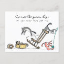 Search for funny cat postcards Kawaii