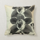 Search for orchid cushions Botanical