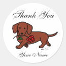 Search for hot dog cartoon stickers Dackel