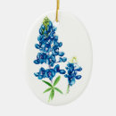 Search for texas bluebonnet christmas tree decorations Lupine