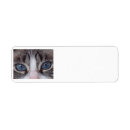 Search for blue cat return address labels Siamese