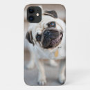 Search for cute puppy iphone cases Pug