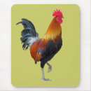 Search for rooster electronics Computer