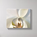Search for white orchid canvas prints Floral
