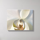 Search for white orchid canvas prints Floral