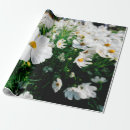 Search for cosmos wrapping paper Blossom