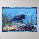 Search for gold fish posters Animal