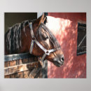 Search for stable posters Horse
