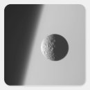 Search for limb stickers Photography