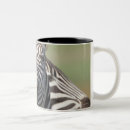 Search for happy together mugs Humour