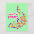 Search for plumage postcards Peacock