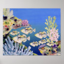 Search for triggerfish posters Coral