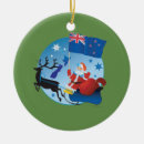 Search for new zealand christmas tree decorations Kiwi