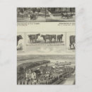 Search for wichita kansas postcards Views