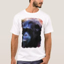 Search for chimp design Chimps