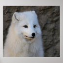 Search for simple dog posters White