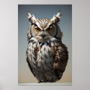 Search for brown owl posters Nature