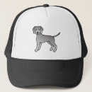 Search for weimaraners hats Animal