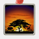 Search for savannah christmas tree decorations Africa