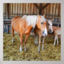 Search for horse stable posters Animal