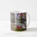 Search for window mugs Scottish