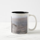Search for cadiz mugs Full length