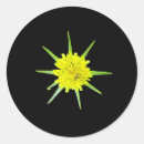 Search for minority stickers Black