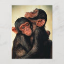 Search for chimpanzee postcards Young animal