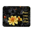 Search for dahlia magnets Flower