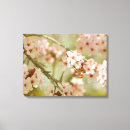 Search for cherry blossom tree canvas prints Photography