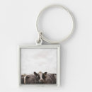 Search for herding key rings Animal