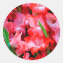 Search for savannah georgia stickers Joanne wells