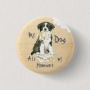 Search for border collie badges Puppy