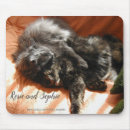 Search for napping mouse mats Feline
