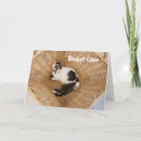 Search for cat basket cards Feline