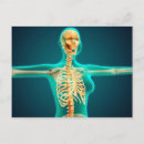 Search for vertebrates postcards Digitally generated image