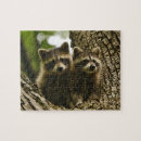 Search for raccoon puzzles Animals