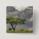 Search for thorn badges Africa