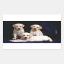 Search for white labrador puppy stickers Puppies