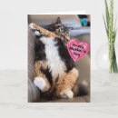 Search for funny cat mothers day cards Mum