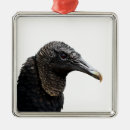 Search for dead bird Black