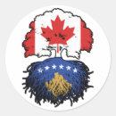 Search for kosovo flag stickers Kosovar