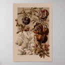 Search for botanical study posters Antique