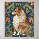 Search for shelti posters Pet