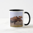 Search for tundra mugs Denali national park